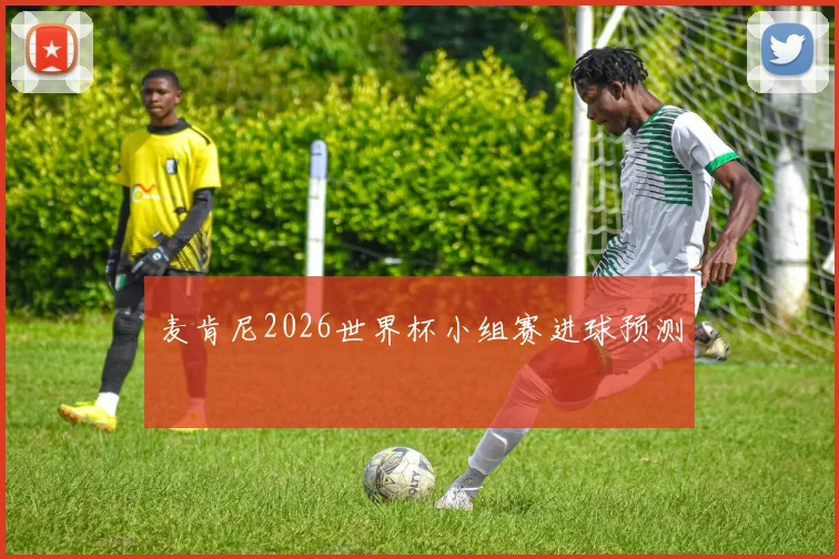 麦肯尼2026世界杯小组赛进球预测