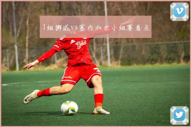 I组挪威vs塞内加尔小组赛看点