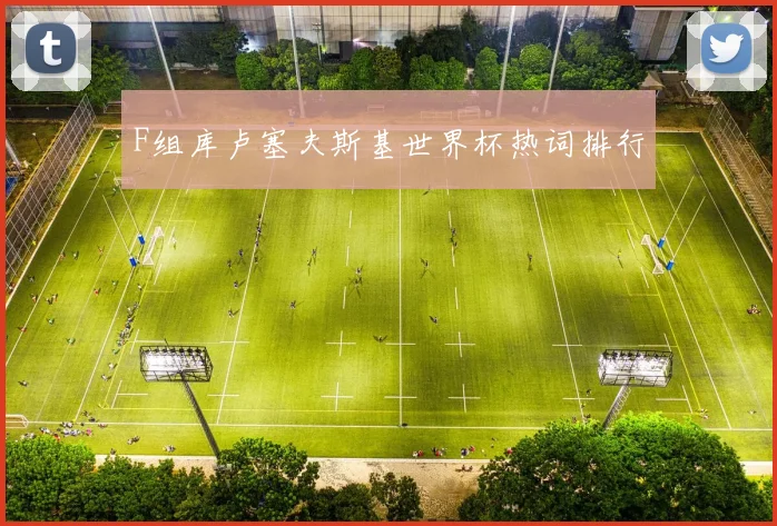 F组库卢塞夫斯基世界杯热词排行