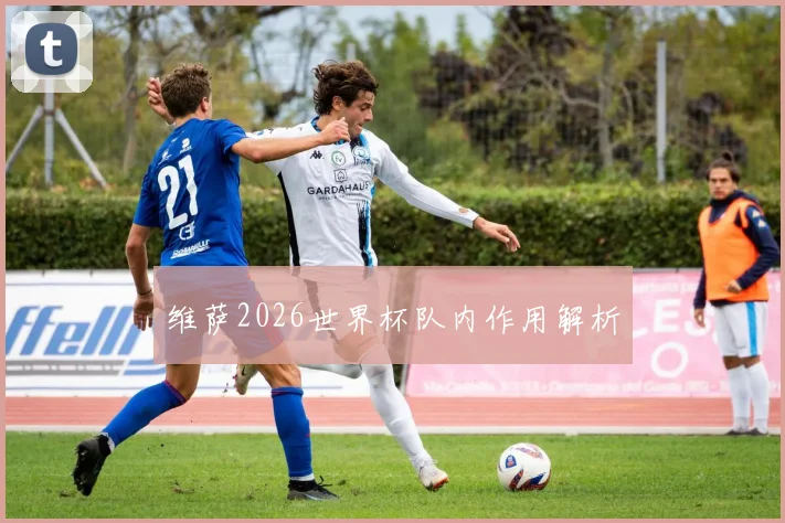 维萨2026世界杯队内作用解析