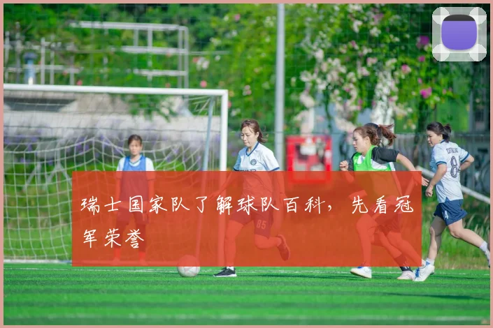 瑞士国家队了解球队百科,先看冠军荣誉