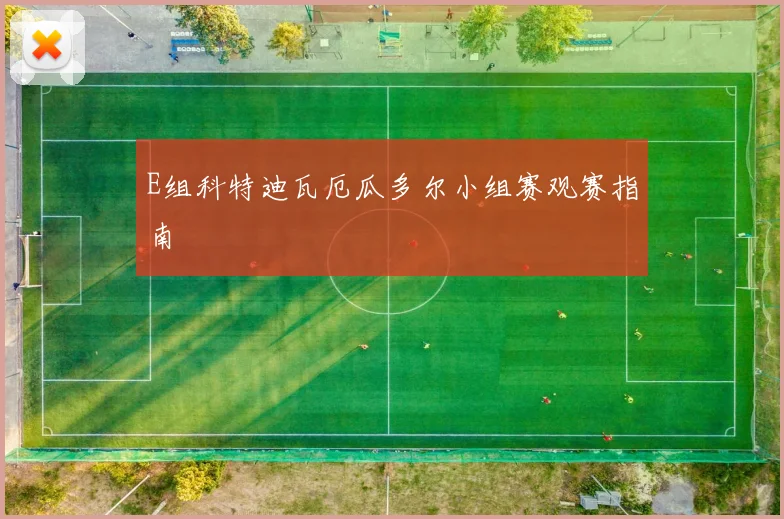 E组科特迪瓦厄瓜多尔小组赛观赛指南