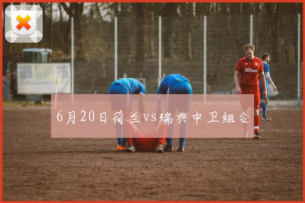 6月20日荷兰vs瑞典中卫组合