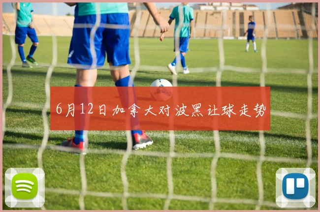 6月12日加拿大对波黑让球走势